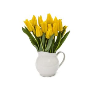 Yellow Tulips with White Vase