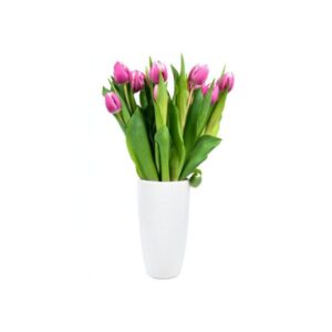 Pink Tulips with White Vase