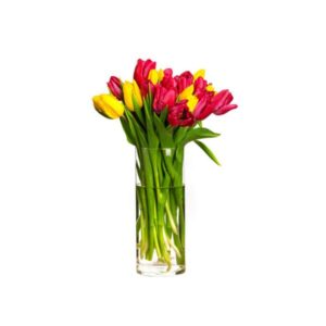 Bouquet of Red & Yellow Tulips