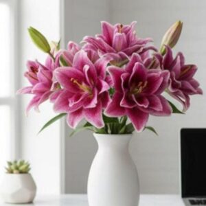 2 Rose Lily Flower Bulbs Easy to Grow