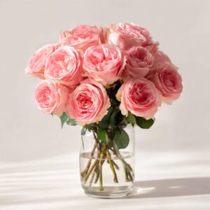 Pink Garden Rose in Glass Vase 27% off