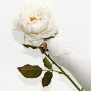 Artificial Rose Stem