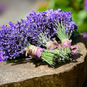 Dried Lavender Bunch