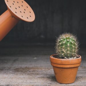 Small Watering Can